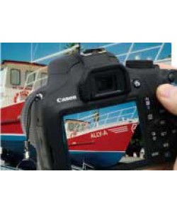 Photo Gallery