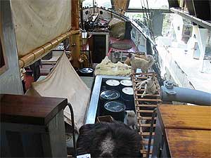 Deck on St Roch