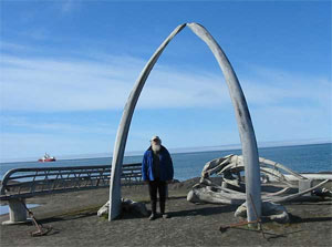 bowhead whale jaw bones