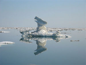 ice reflections