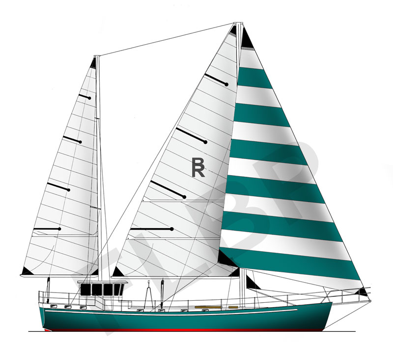 murrelet sailboat clipart